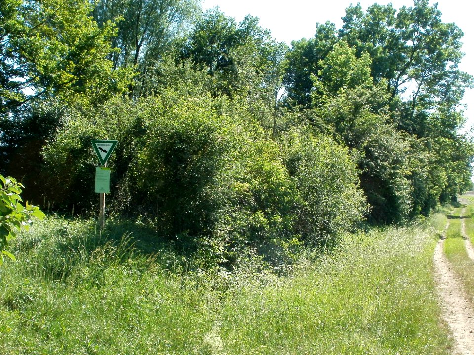 20110525Naturschutzgebiet_Bahndamm_Talhaus1