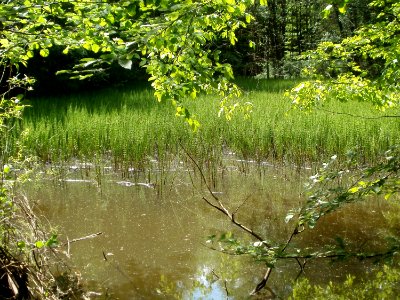20110503Steinbachtal_Saarbruecken2
