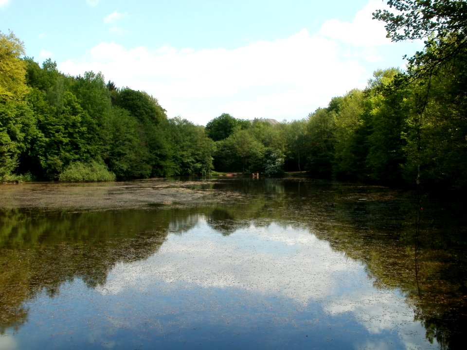 20110503Steinbachtal_Saarbruecken3