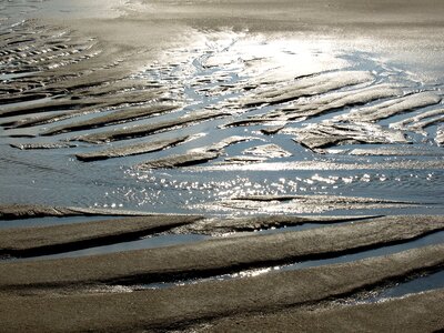 Pril sea nature