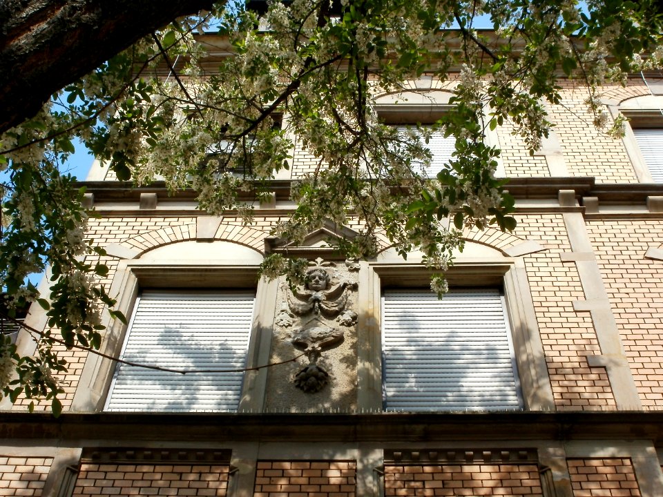 20110503Kaltenbachstr6_Saarbruecken4
