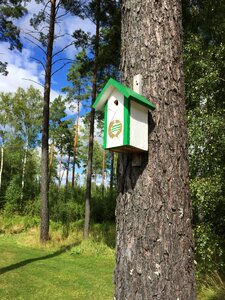 Tree birdhouse hammarby photo