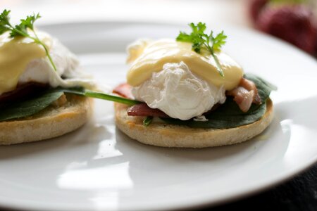 Poached egg delicious photo