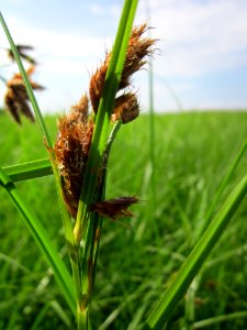 20130725Strandsimse_Hockenheim2