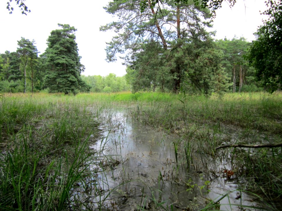 20130711Tongruben_beim_Siegelhain