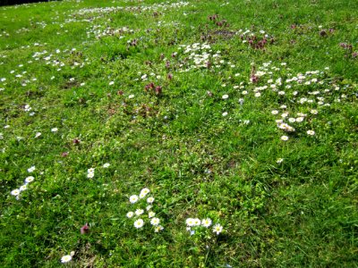 20130413Gartenschaupark_Hockenheim08