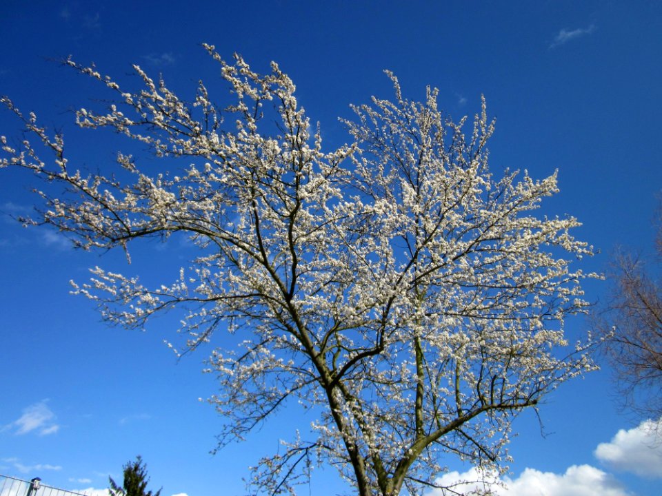 20130413Kirschbaum_Hockenheim4