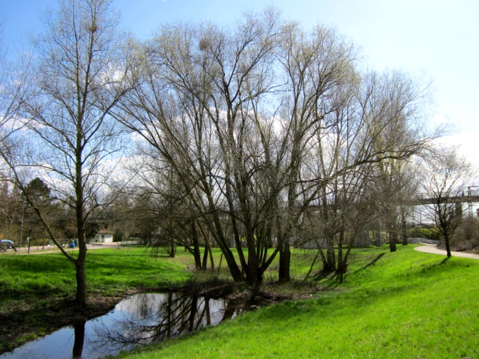 20130413Gartenschaupark_Hockenheim11