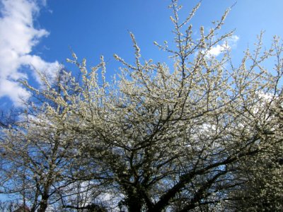 20130413Hockenheim2