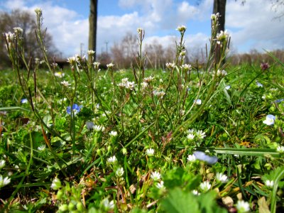 20130413Gartenschaupark_Hockenheim02