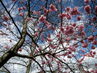 20130413Gartenschaupark_Hockenheim01