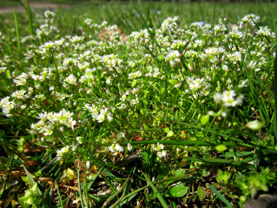 20130413Gartenschaupark_Hockenheim03