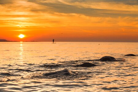 Wasaga shoreline sunset photo