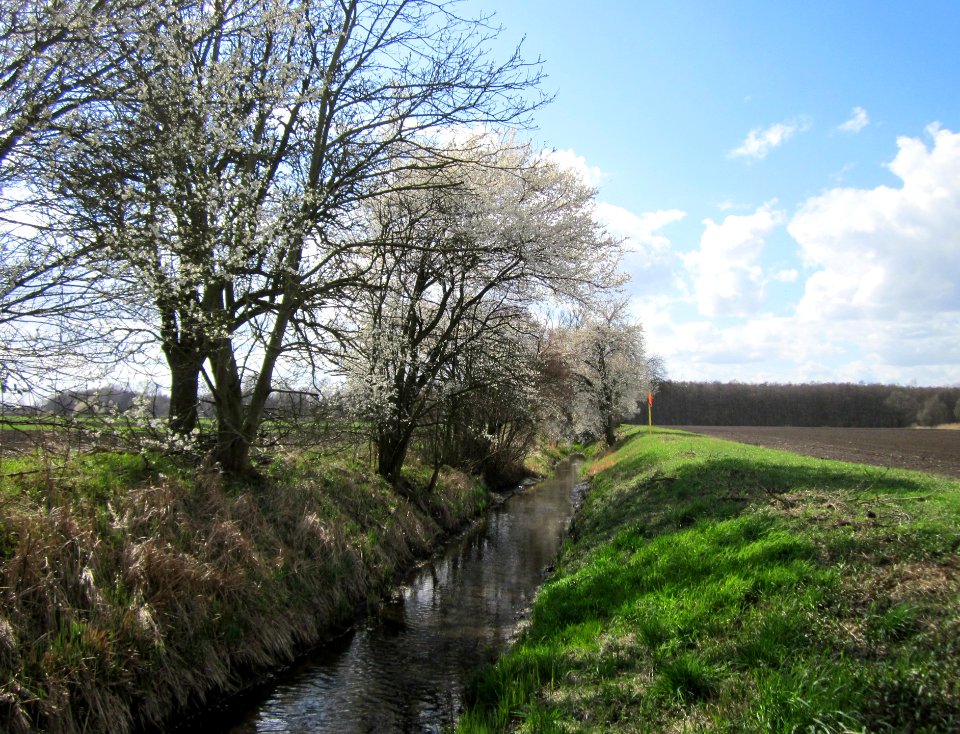 20130413Hockenheimer_Rheinbogen2