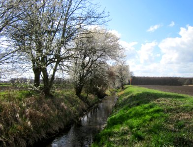 20130413Hockenheimer_Rheinbogen2