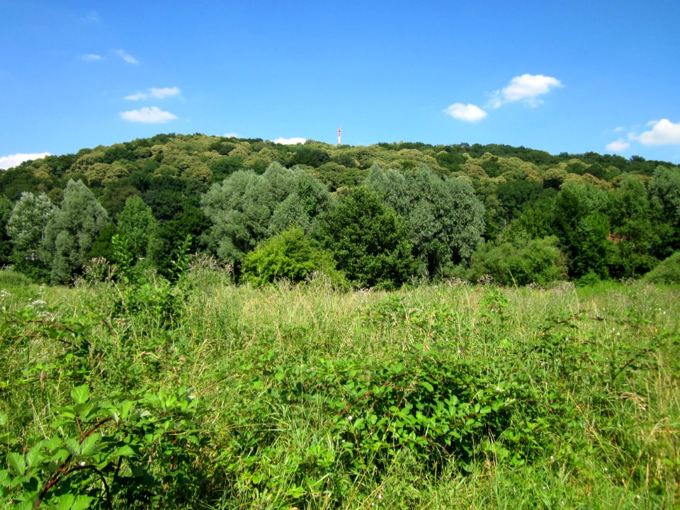20130721St_Arnualer_Wiesen