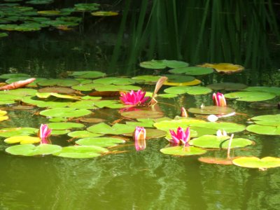 20130817Adenauerpark_Speyer2
