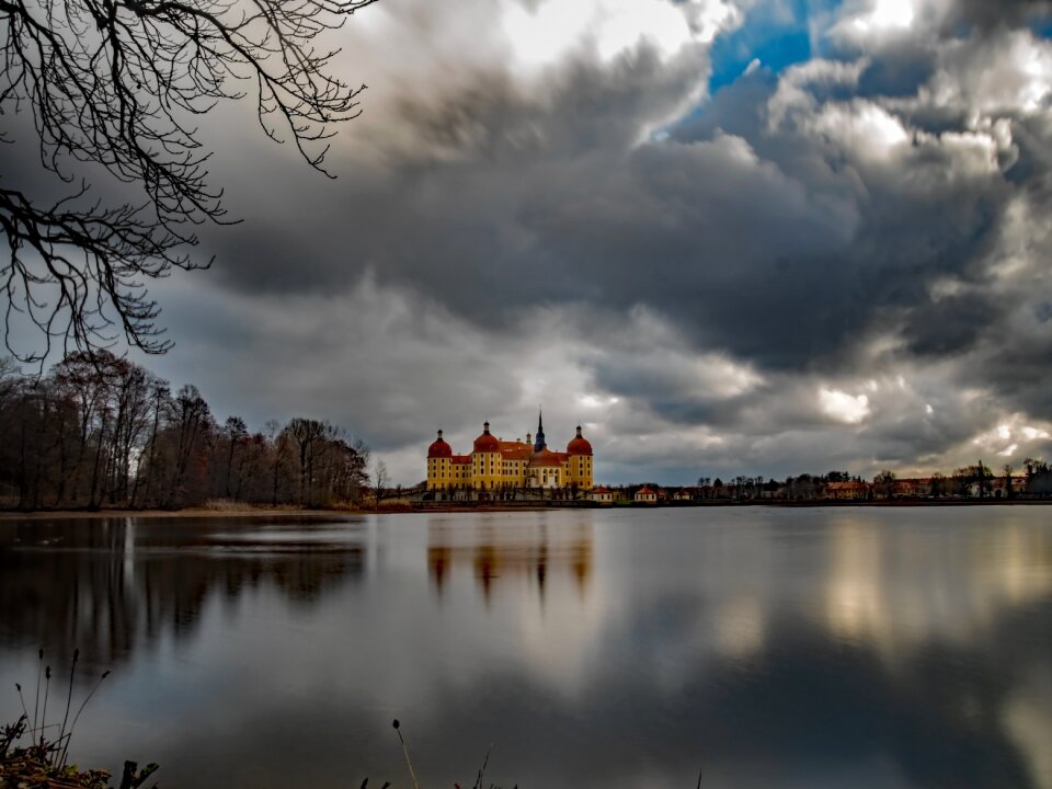 Castle forest building