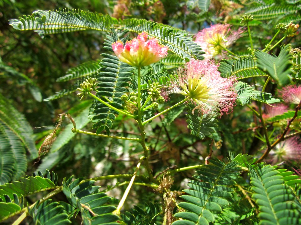 20130801Seidenbaum_Hockenheim09
