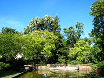 20130817Adenauerpark_Speyer1