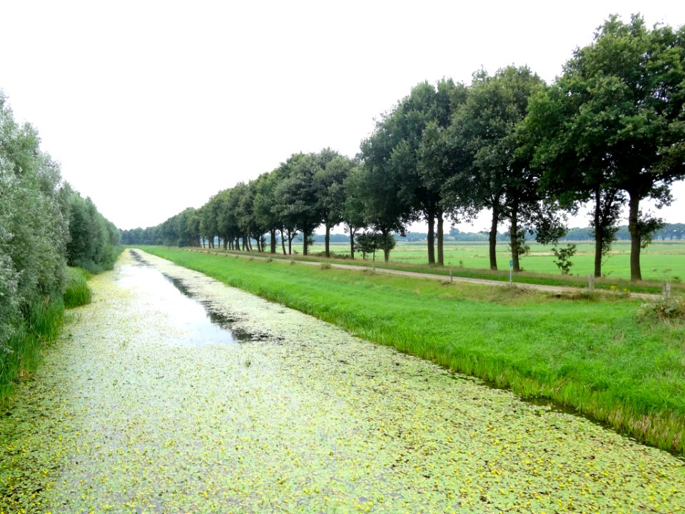 20130815_Schipbeek_achter_Westerflier