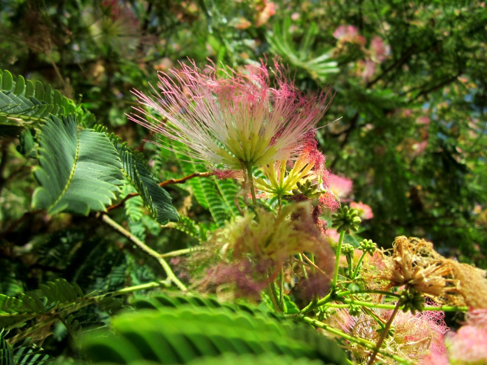 20130801Seidenbaum_Hockenheim10