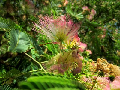 20130801Seidenbaum_Hockenheim10