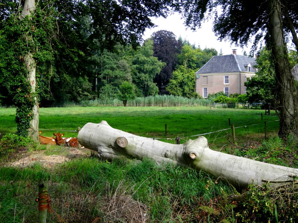20130815_Wegdam1