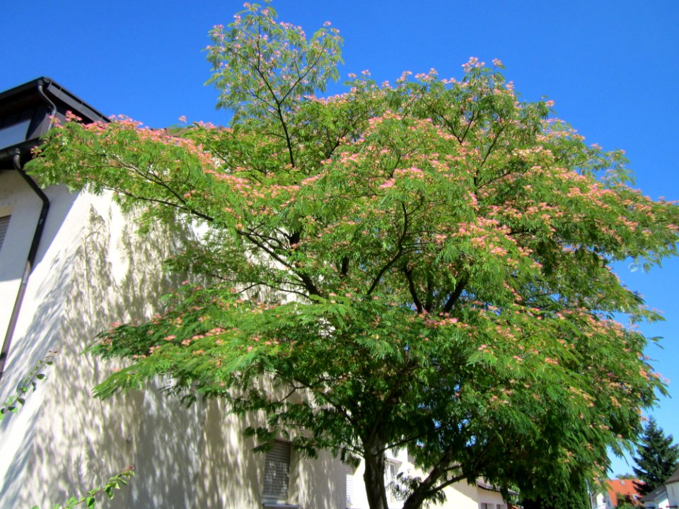 20130801Seidenbaum_Hockenheim03