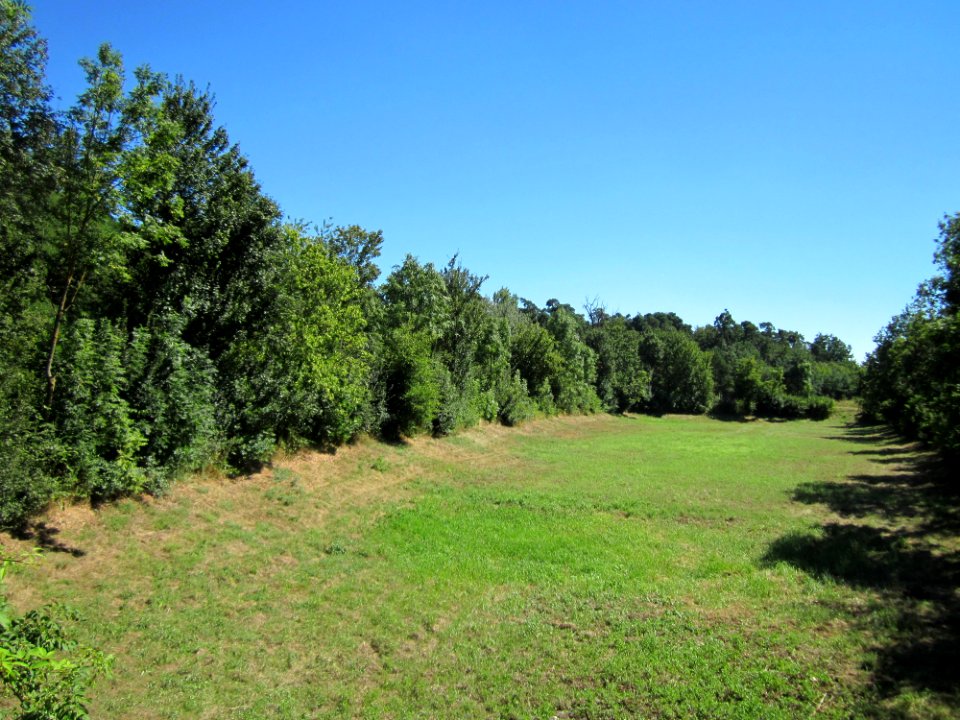 20130801Rueckhaltebecken_Schwetzinger_Hardt1