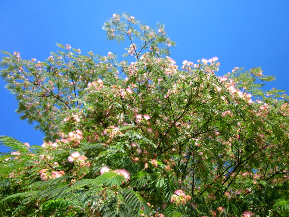 20130801Seidenbaum_Hockenheim04