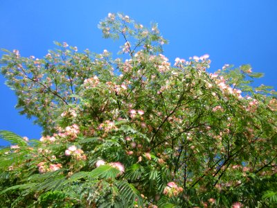 20130801Seidenbaum_Hockenheim04