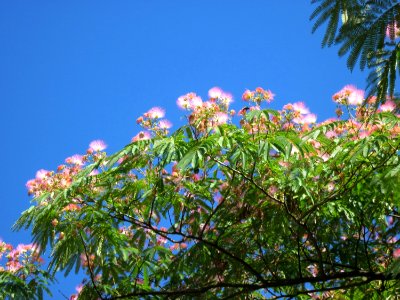 20130801Seidenbaum_Hockenheim05