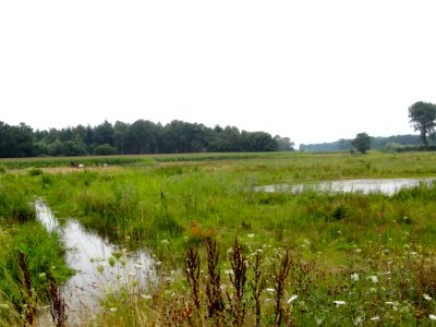20130815_Boven_Regge_ten_zuidwesten_van_Diepenheim
