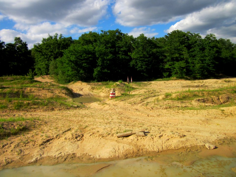 20130731Duene_Speyrer_Wald4