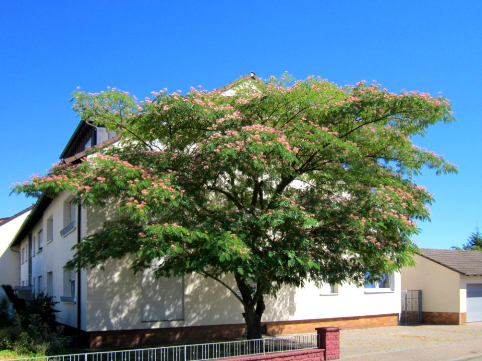 20130801Seidenbaum_Hockenheim01