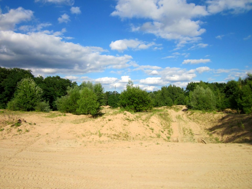 20130731Duene_Speyrer_Wald3
