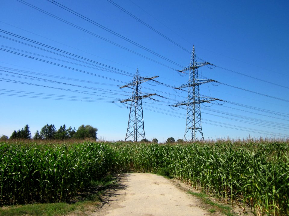 20130802Maisfeld_Hockenheim