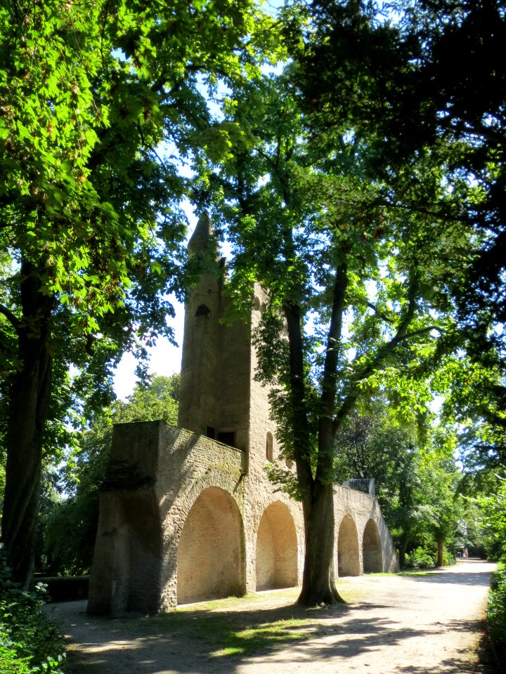20130817Rosskastanie_Speyer3