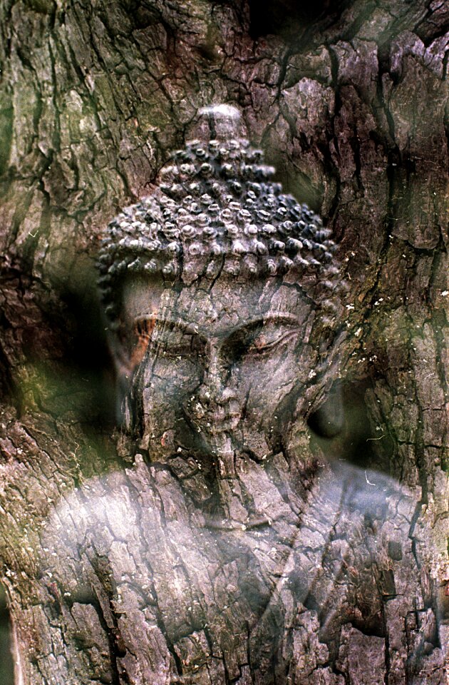 Religion spiritual buddhism