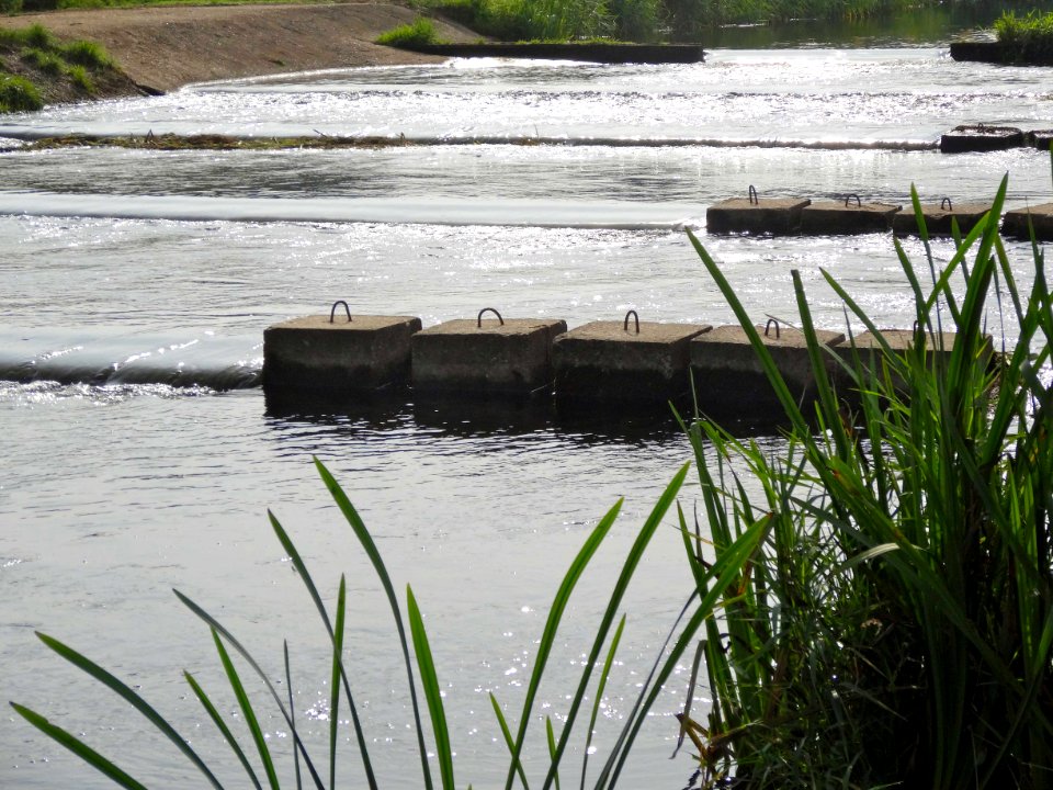 20130821_Vistrap3_Schipbeek_ter_hoogte_van_Stokkum