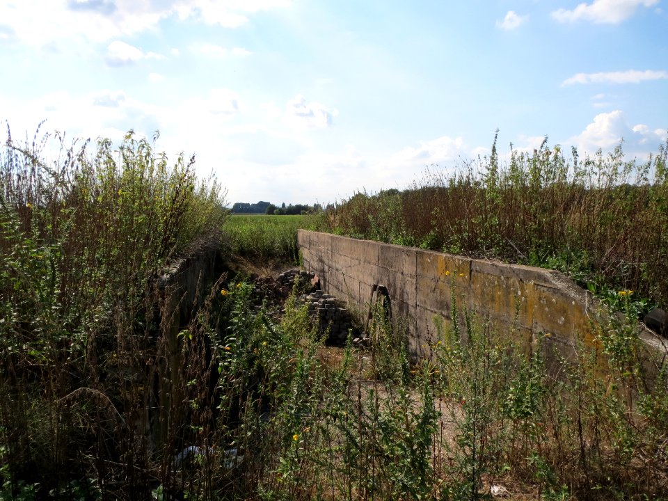 20130820Reilingen