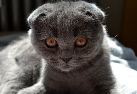 Mieze cute sweet