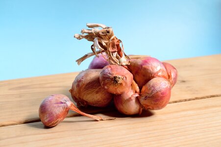 Detail ingredient raw