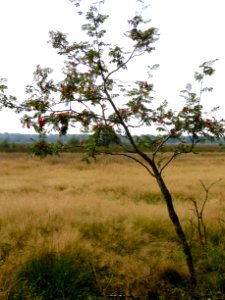 20130821_Elsenerveld
