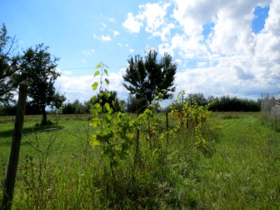 20130819Weinberg1