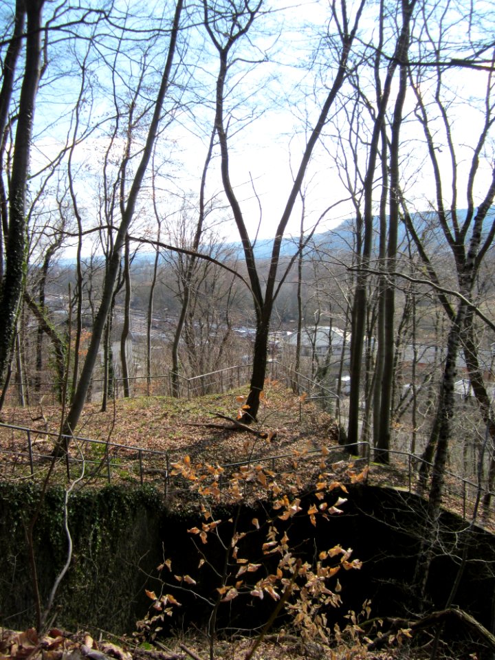 20130407Bunker_Halberg1