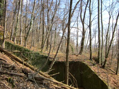 20130407Bunker_Halberg2