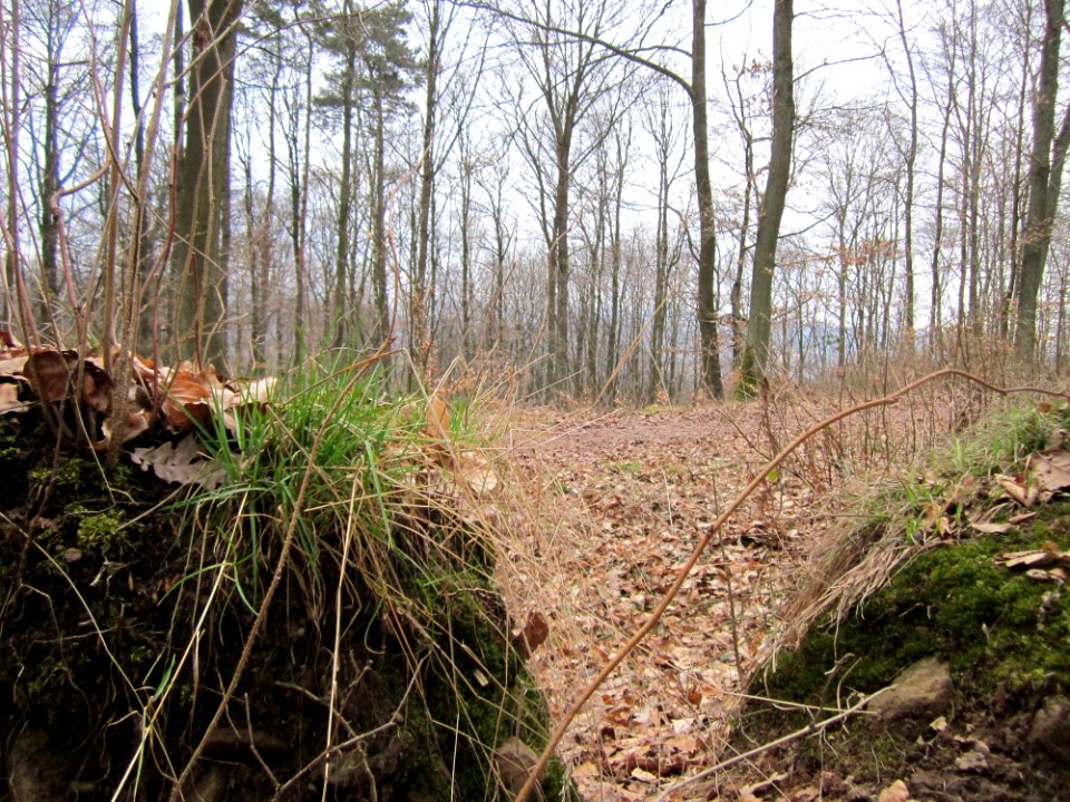 20130331Sonnenberg23