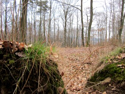 20130331Sonnenberg23